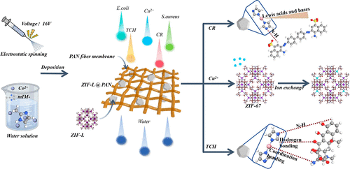 In-situ deposition of zeolite imidazole framework to decorate polyacrylonitrile fiber membrane for efficient removal of multiple water pollutants